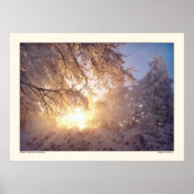 Aube d'hiver - Ananda Posters