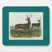 Audubon - cerf commun à queue noire colombien tapis de souris