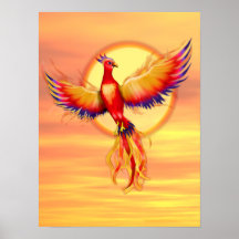 Augmentation de Phoenix Affiches