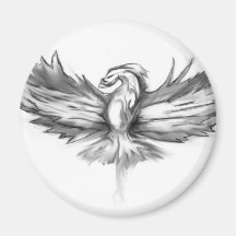 Augmentation grise de Phoenix Aimants