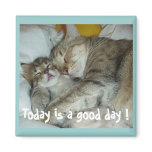 Aujourd'hui est un beau jour ! Aimant de chats magnets