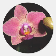 Autisme d'autocollant de fleur d'amour d'orchidée