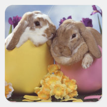 Autocollant 11 de lapin