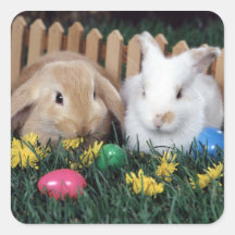 Autocollant 2 de lapin