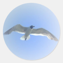 Autocollant 2 de mouette en vol