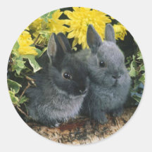 Autocollant 6 de lapin