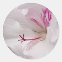 Autocollant blanc de géranium