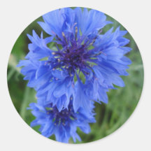 Autocollant bleu de bleuet