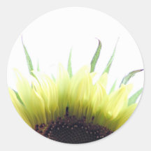 Autocollant bonjour de tournesol