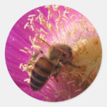 Autocollant d'abeille de miel