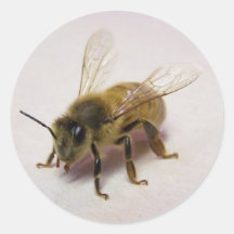 Autocollant d'abeille de miel