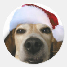 Autocollant de beagle de Père Noël