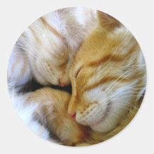 Autocollant de chatons de câlin