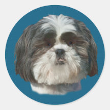 Autocollant de chien de Shih Tzu