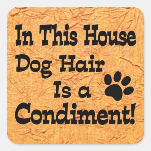 Autocollant de condiment de cheveux de chien