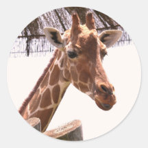 Autocollant de girafe