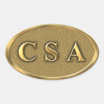 Autocollant de guerre civile de CSA