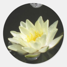 Autocollant de lis d'étang jaune