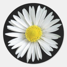 Autocollant de marguerite