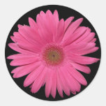 Autocollant de marguerite de Gerber