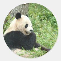 Autocollant de panda