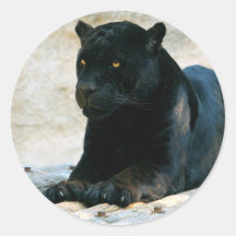 Autocollant de panthère noire