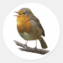Autocollant de Robin