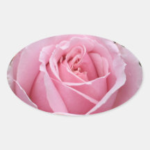 Autocollant de rose de rose