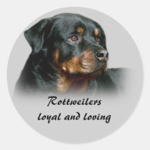 Autocollant de rottweiler