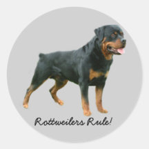 Autocollant de rottweiler
