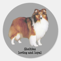 Autocollant de Sheltie
