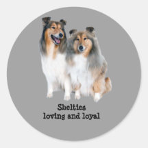 Autocollant de Sheltie