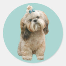Autocollant de Shih Tzu