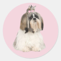 Autocollant de Shih Tzu