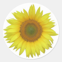Autocollant de tournesol