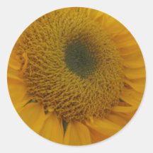 Autocollant de tournesols