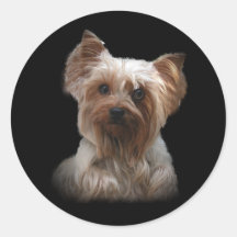 Autocollant de Yorkshire Terrier