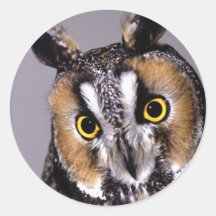 Autocollant d'oiseau de hibou