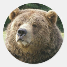 Autocollant d'ours de Brown