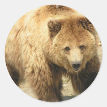 Autocollant d'ours gris