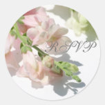 Autocollant du muflier RSVP