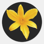 Autocollant jaune de lis