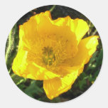 autocollant jaune de pavot