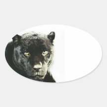 Autocollant noir d'ovale de panthère de Jaguar