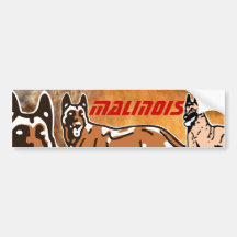 autocollant pour voiture malinois