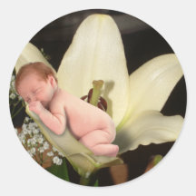 Autocollant rond de bébé de fleur de lis