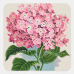 Autocollant rose de cru d'hortensia