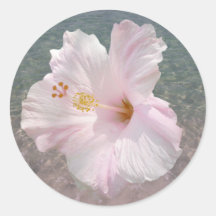 Autocollant rose de ketmie et d'eau d'océan