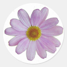 Autocollant rose de marguerite