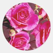 Autocollant rose d'élégance